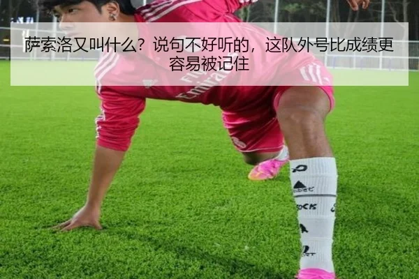 sa-suo-luo-you-jiao-shen-me-shuo-ju-bu-hao-ting-de-zhe-dui-wai-hao-bi-cheng-ji-geng-rong-yi-bei-ji-zhu-2-542.jpg